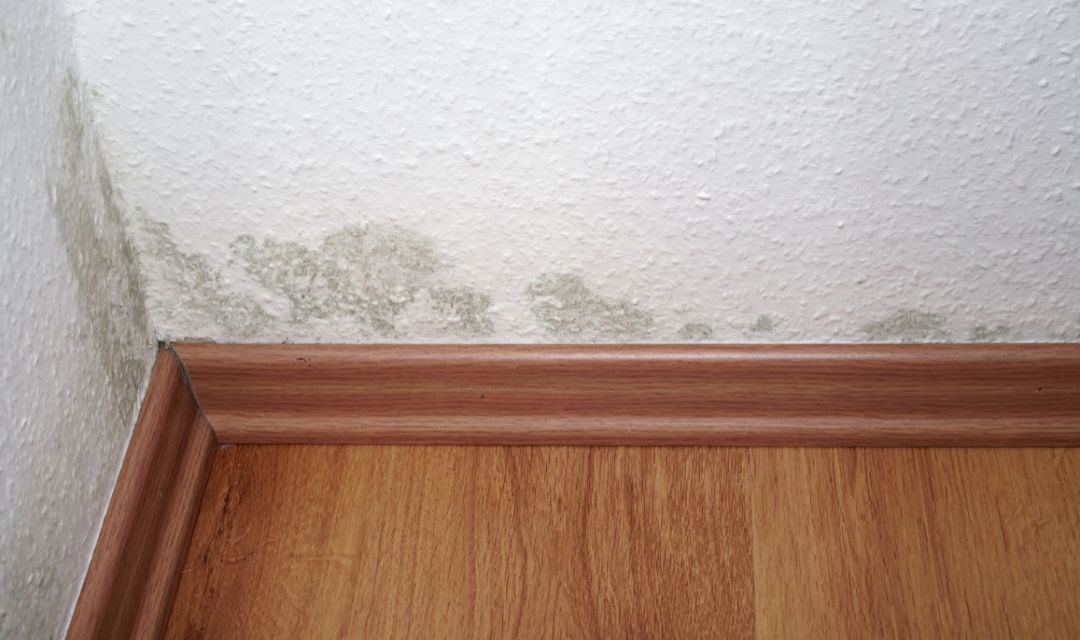 Dauerhaft dunkle Zonen