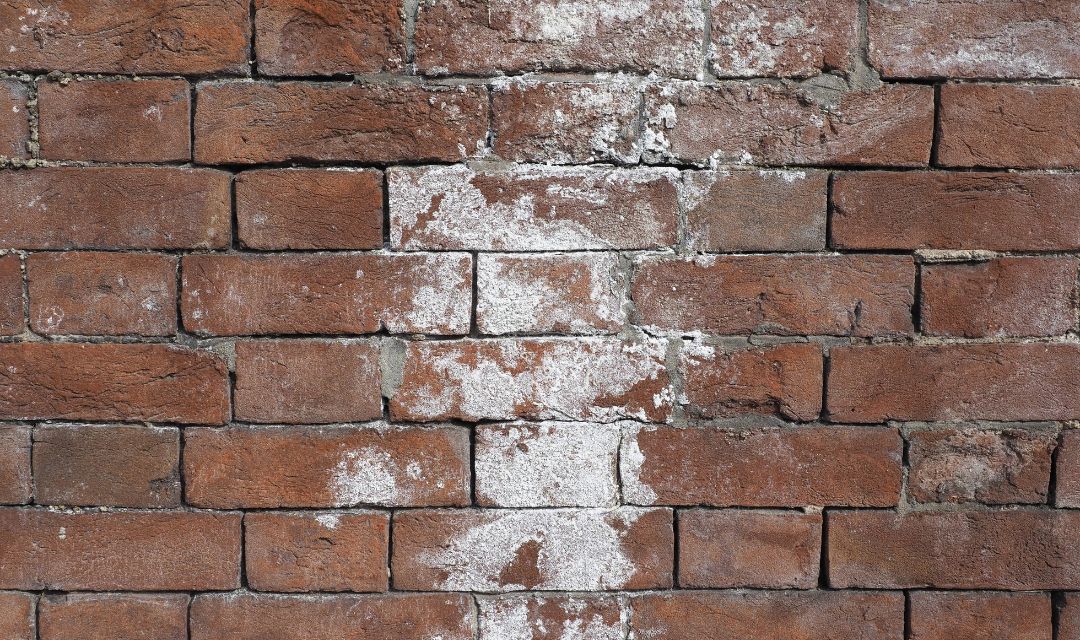 Nahaufnahme weißer Salzausblühungen an einer Kellerwand