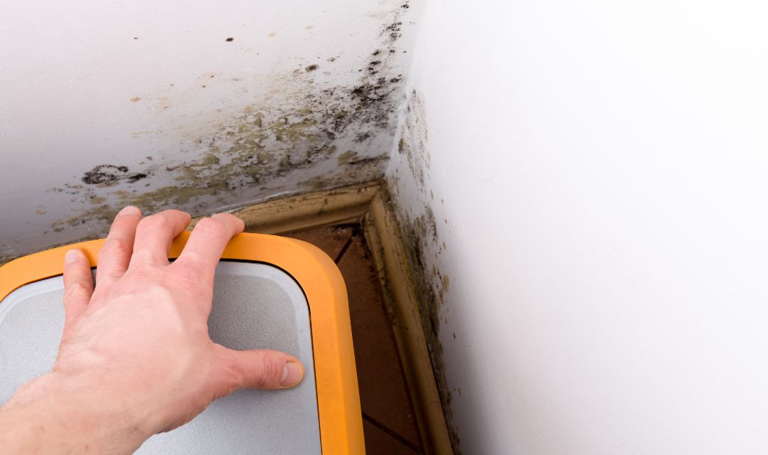 Modriger Geruch